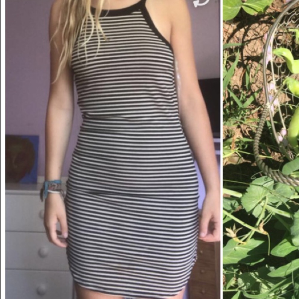 Barely worn fitting dress